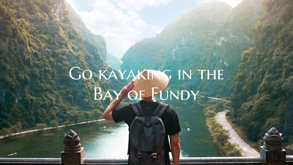 Go kayaking in the Bay of Fundy