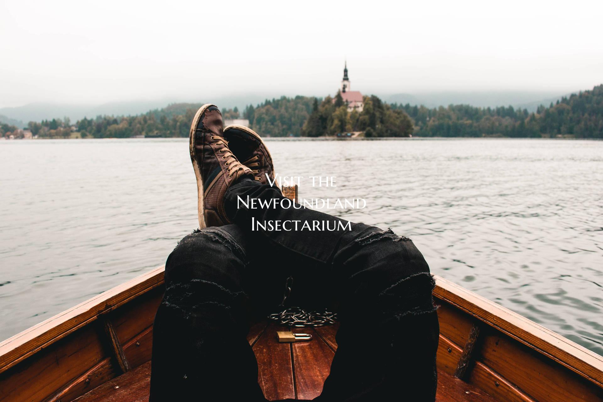 Visit the Newfoundland Insectarium